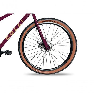 Bicicleta Aro 29 Colli Vancouver Confort 21 Marchas Freio A Disco Roxo