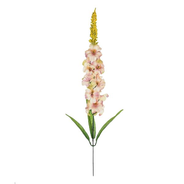 Haste de Delfinium Grillo Outonada - Item Sortido Haste de Delfinium Grillo Outonada - Item Sortido