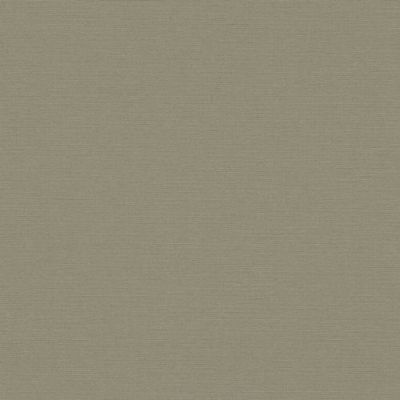 Papel de Parede The Wall 2 Textura Verde 390975