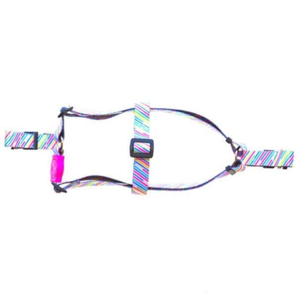 17549370024888 17549370024888