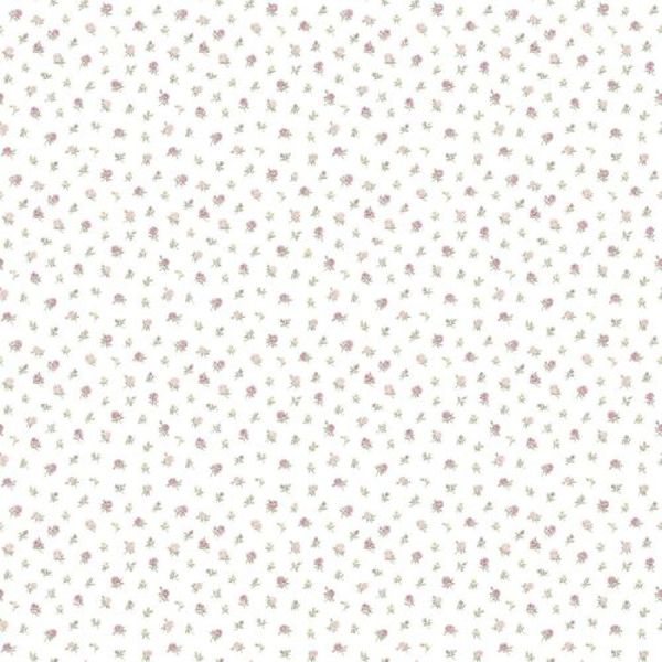 17429866645518 17429866645518