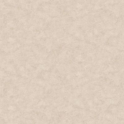 Papel de Parede Nature Pedra Bege TONU8008