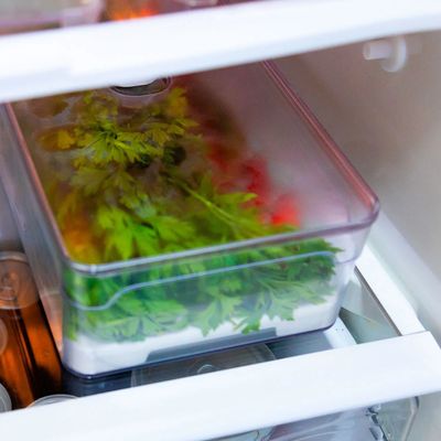 Organizador de Geladeira Arthi Sempre Seco com Tela e Respiro 2,8L