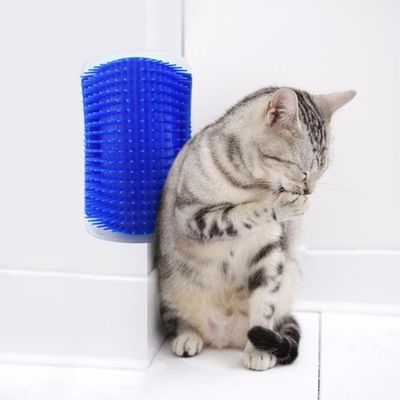 Escova De Parede Para Massagem E Tira Pelos Gatos - Petshop