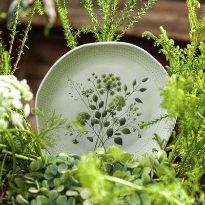 Kit 6 Pratos de Sobremesa Ammi Orgânico Cerâmica 19,5cm Floral Porto Brasil