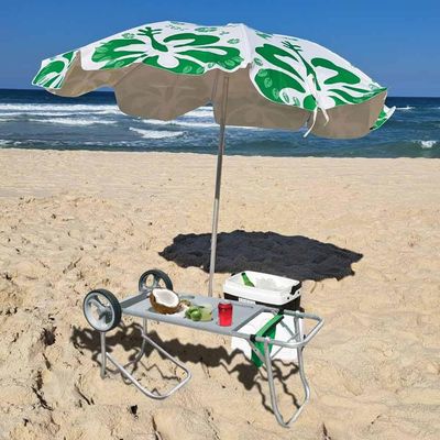 Carrinho Praia com Extensor Ourense Sortido