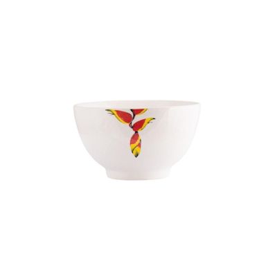Jogo De Jantar 60 Peças Tropical Porcelana Real By Schmidt