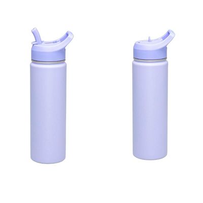 Garrafa Térmica Tramontina 650ml Lilás com Canudo Squeeze Aço Parede Dupla Gelado