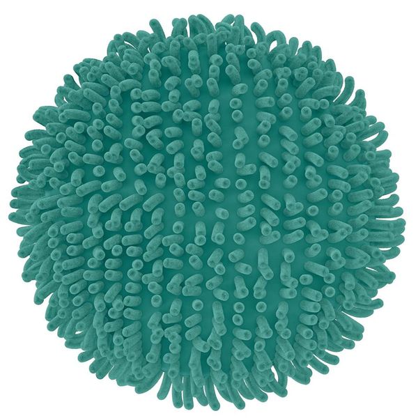 16953228182044 16953228182044