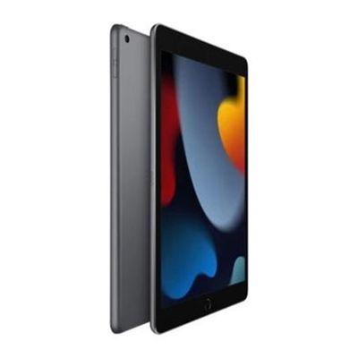 iPad 9ª geração Apple, 10.2", 64GB, A13 Bionic, Wi-Fi, Cinza Espacial