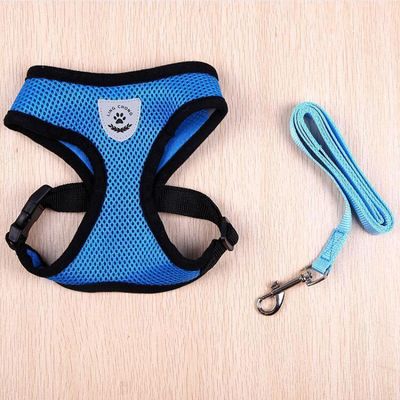 Conjunto de Coleira e Guia Refletiva para Cães e Gatos XG / azul