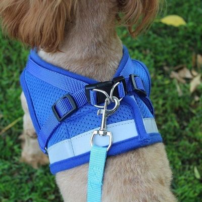 Conjunto de Coleira e Guia Refletiva para Cães e Gatos XG / azul