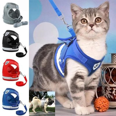 Conjunto de Coleira e Guia Refletiva para Cães e Gatos XG / azul