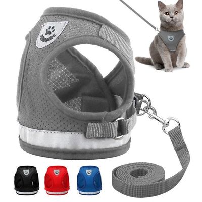 Conjunto de Coleira e Guia Refletiva para Cães e Gatos XG / azul
