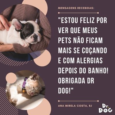 Kit banho em casa Shampoo + Condicionador + Perfume Dr. Dog Cachorro  Gatos hipoalergenico