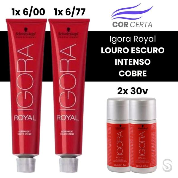 Igora Royal LOURO ESCURO INTENSO COBRE Igora Royal LOURO ESCURO INTENSO COBRE
