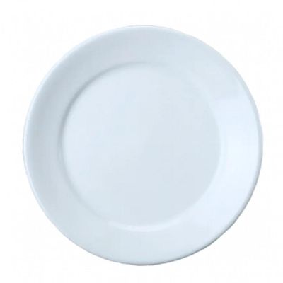Kit 22 Pratos Raso Porcelana 24,5 cm Bar Hotel Germer