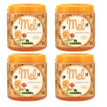 Mel Silvestre 100% Puro  4 Potes com 500g - Chamel
