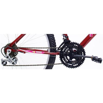 Bicicleta Aro 26 Feminina De Passeio 18 Marchas Saidx Vermelho