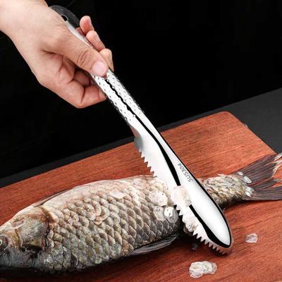 Espatula Raspador Limpador de Escamas de Peixe Aço Inox