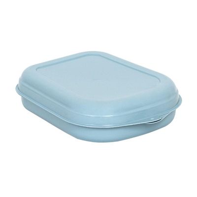 Sanduicheira Porta Lanche Pote Plasvale Azul