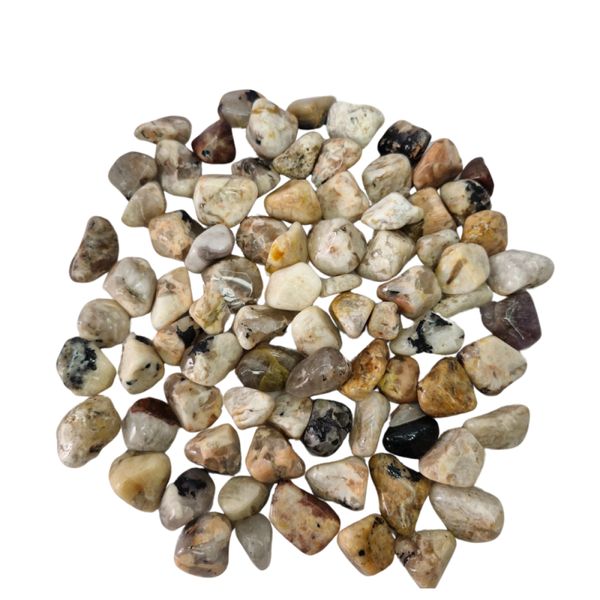 17429872039574 17429872039574