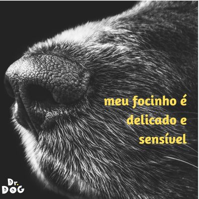Perfume  Hipoalergênico Pet Xodozinho Cheirinho Bebê  Cães  Gatos 120 mL Dr. Dog