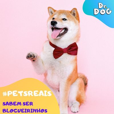 Perfume  Hipoalergênico Pet Xodozinho Cheirinho Bebê  Cães  Gatos 120 mL Dr. Dog