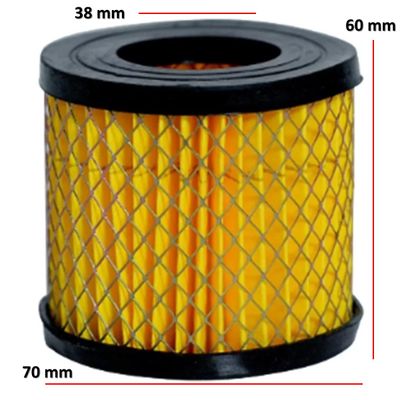 Elemento Filtro Ar Chiaperini 10Mpi Top20Mpv Top30Mp3V (70 X 38 X 63)