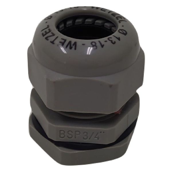 17597798339081 17597798339081