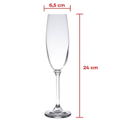 Jogo 6 Taças de Cristal para Champagne Gastro Colibri 220ml Espumante Wolff