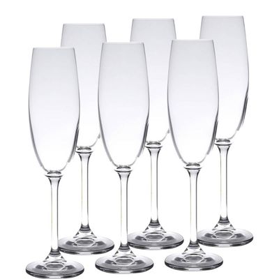 Jogo 6 Taças de Cristal para Champagne Gastro Colibri 220ml Espumante Wolff