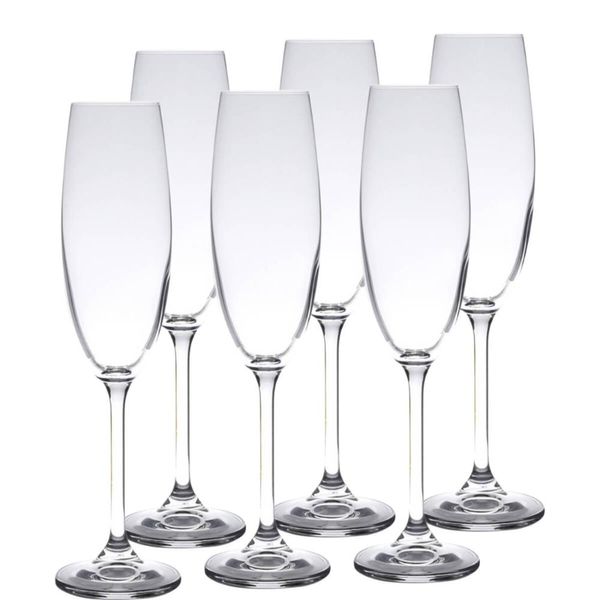 Jogo 6 Taças de Cristal para Champagne Gastro Colibri 220ml Espumante Wolff