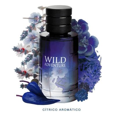 Perfume Wild Adventure Linn Young Eau De Toilette Masculino 100ml