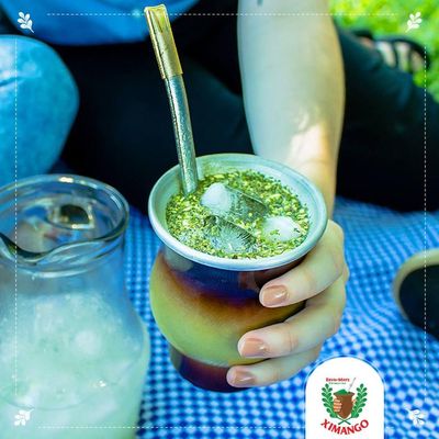 Kit 10 Erva-mate Tererê Abacaxi E Menta 250g Ximango Ximaice