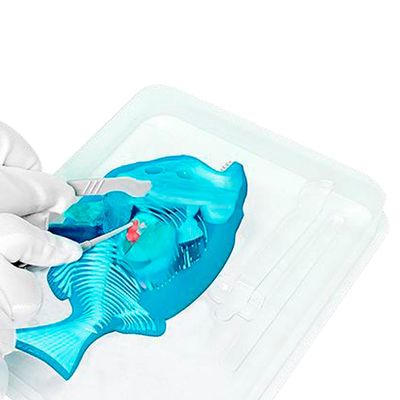 Kit de Dissecação com Refil Lab Dissect-It - Piranha