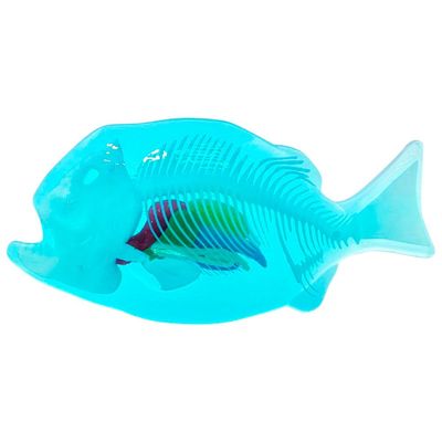 Kit de Dissecação com Refil Lab Dissect-It - Piranha