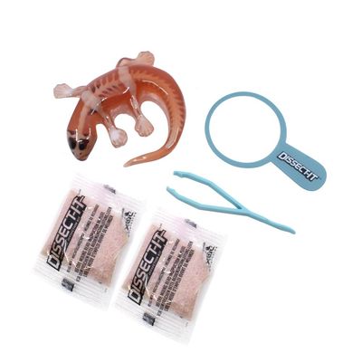 Kit de Dissecação Mini Lab Dissect-It - Salamandra