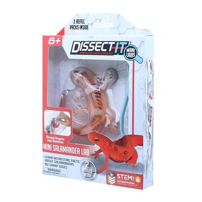 Kit de Dissecação Mini Lab Dissect-It - Salamandra