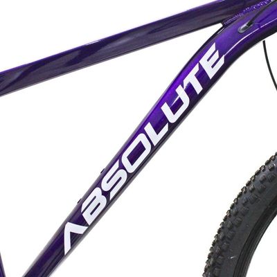 Bicicleta Aro 29 Absolute 21 Marchas Quadro Alumínio Freio A Disco Mtb - Roxo - 15 Roxo