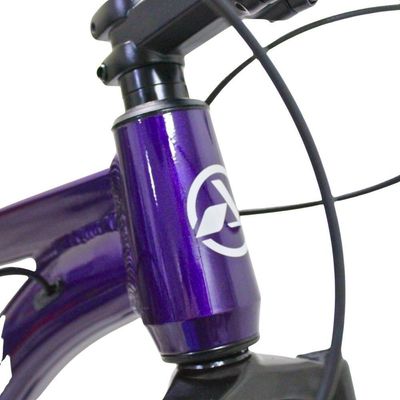 Bicicleta Aro 29 Absolute 21 Marchas Quadro Alumínio Freio A Disco Mtb - Roxo - 15 Roxo