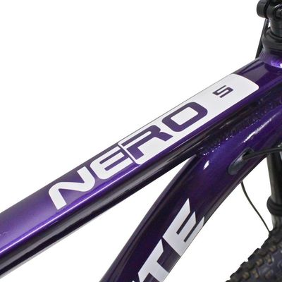 Bicicleta Aro 29 Absolute 21 Marchas Quadro Alumínio Freio A Disco Mtb - Roxo - 15 Roxo
