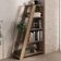 Estante Para Escritório Home Office Multiuso 5 Prateleiras Star A02 Nogal - Lyam Decor