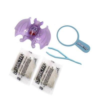 Kit de Dissecação Mini Lab Dissect-It - Morcego