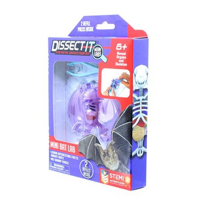 Kit de Dissecação Mini Lab Dissect-It - Morcego