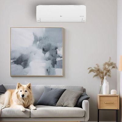 Ar Condicionado LG Split Hi Wall Inverter R-32 AI Smart Voice 9.000 BTUs Frio 220V