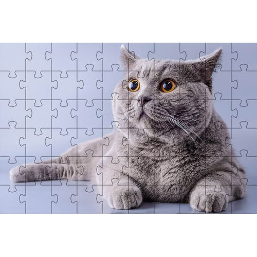 17176764195681