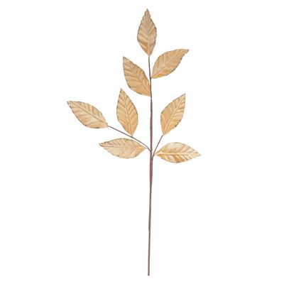 C.FOLHA (CHAMPANHE) 72cm