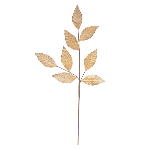 C.FOLHA (CHAMPANHE) 72cm