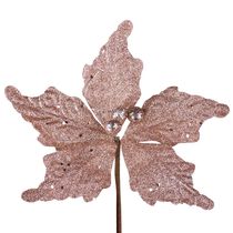 Bico Papagaio com Glitter Nude 15cm D&A